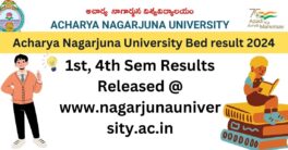 Acharya Nagarjuna University Bed result 2024