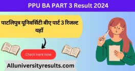 PPU BA PART 3 Result 2024