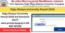 Rajju Bhaiya University Result 2024 3rd Semester (OUT) www.prsuprayagraj.in BA BSC BCOM